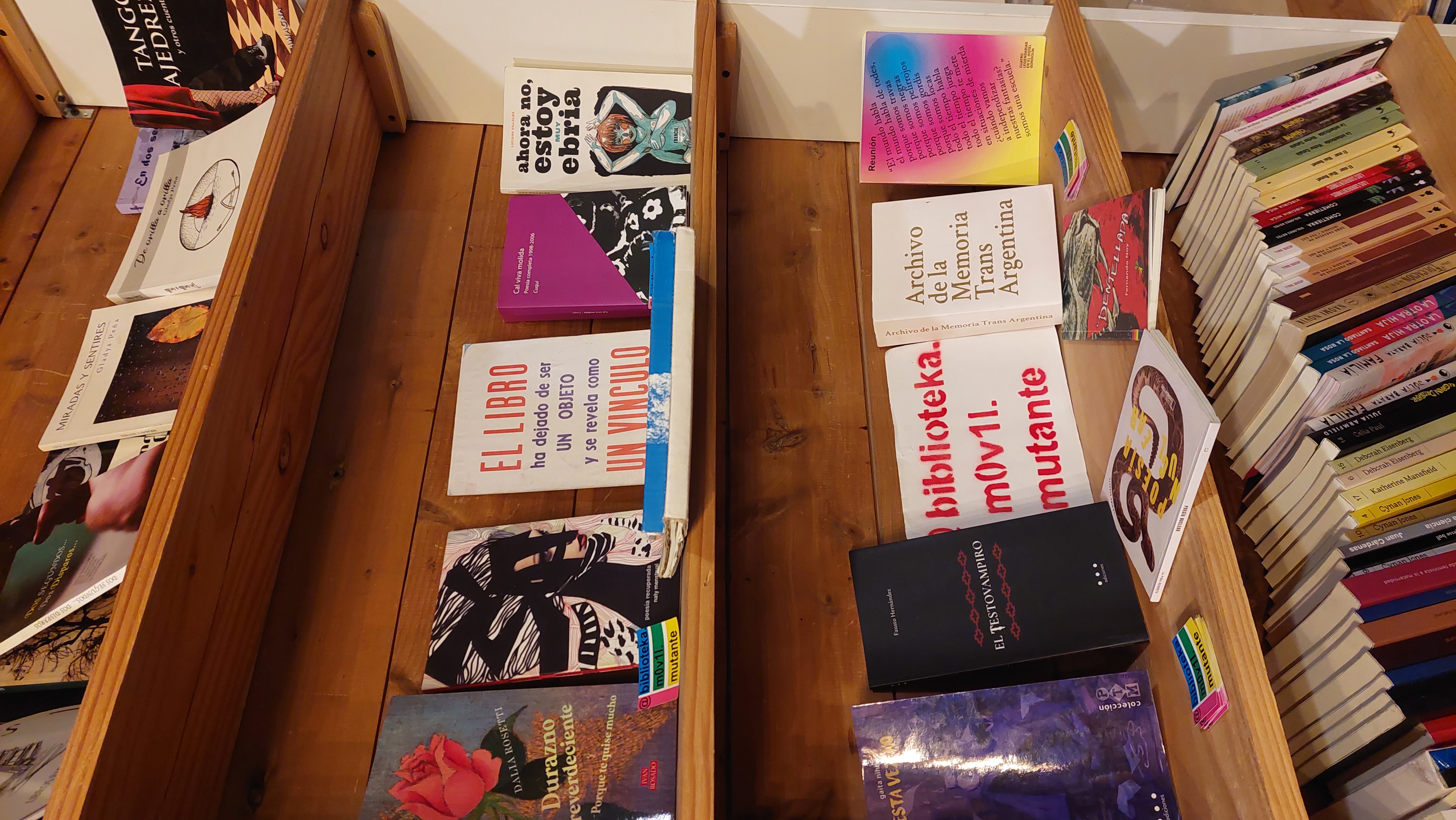 libros de la biblioteka en una estanteria